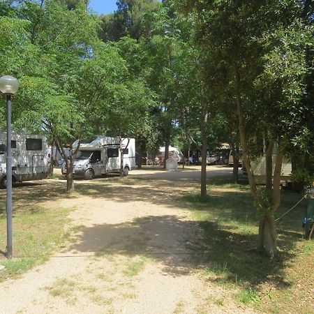Camping Mia Bungalow&Mobile Home Biograd Na Moru Bagian luar foto